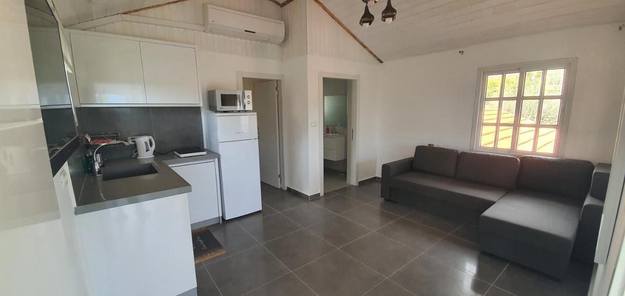 The House Chalet Migdal